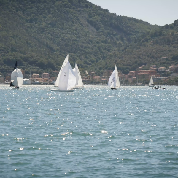 DP 2024-05-14 alle 12.17.45